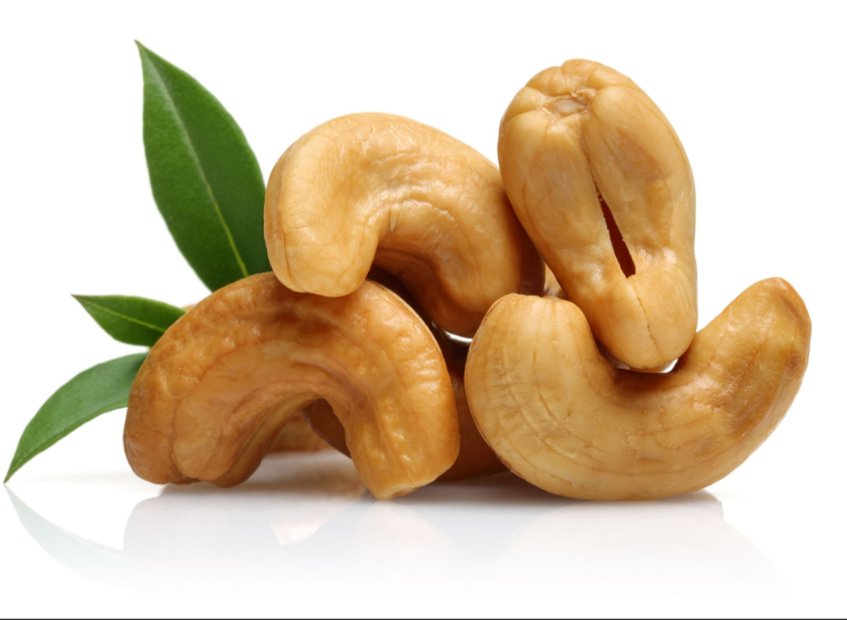 Can dog eat cashew food
