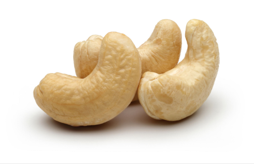 can dog eat cashew food